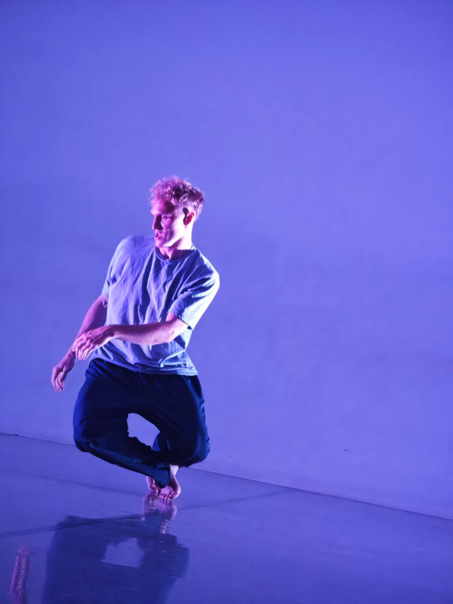 &copy; Karim R. Greber: Mediar